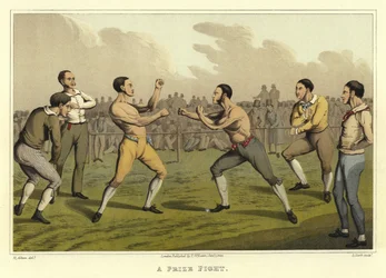 A Prize Fight